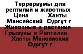 Террариумы для рептилий и животных › Цена ­ 500 - Ханты-Мансийский, Сургут г. Животные и растения » Грызуны и Рептилии   . Ханты-Мансийский,Сургут г.